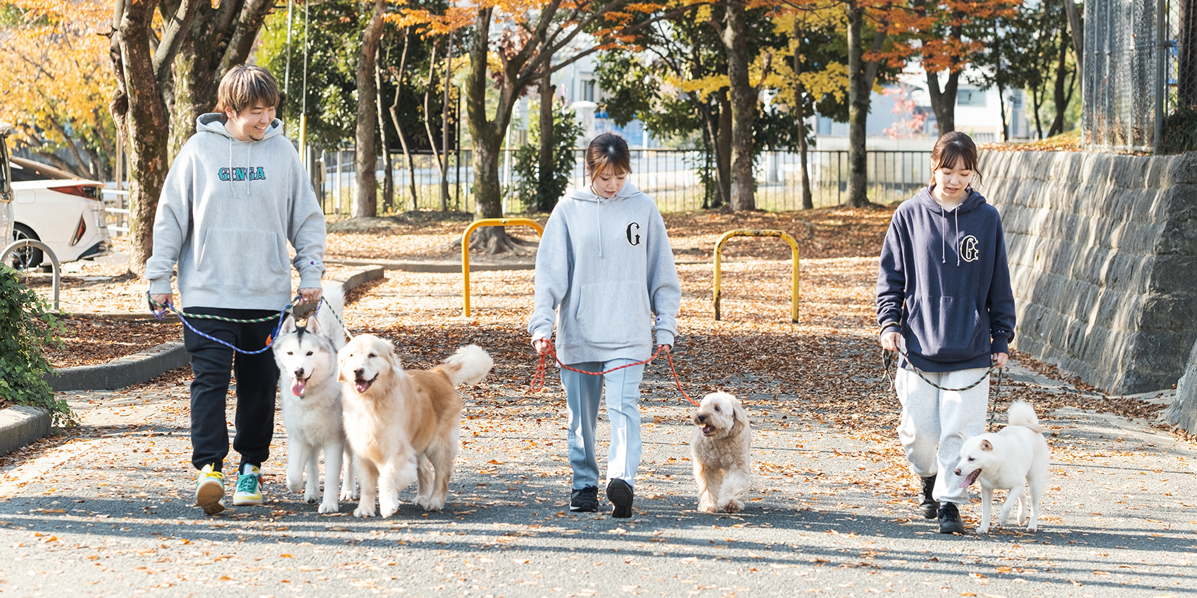 犬のしつけ・トレーニング｜京都市山科区ギンガ