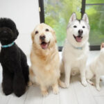 合宿トレーニングについて