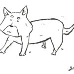 愛犬のターミナルケア