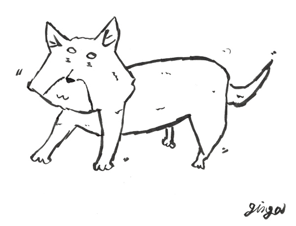 愛犬のターミナルケア