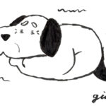 わんちゃんの老化について