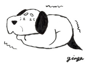 わんちゃんの老化について