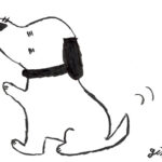 犬が痩せてきた