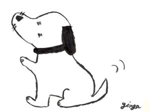 犬が痩せてきた