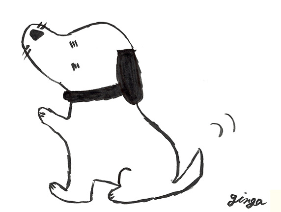 犬が痩せてきた？