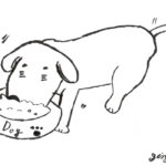 食欲がないわんちゃん