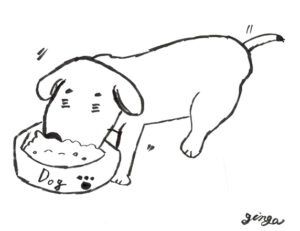 食欲がないわんちゃん