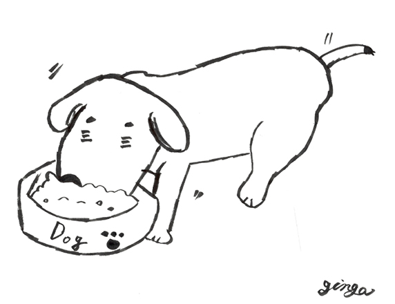 食欲がないわんちゃん