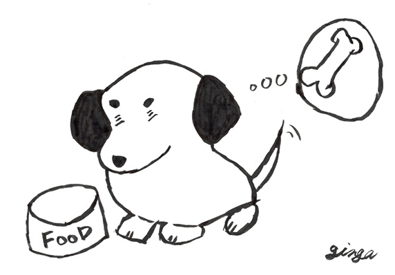 愛犬のおすすめのおやつ