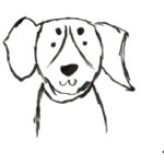 愛犬とのアイコンタクトについて