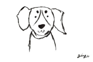 愛犬とのアイコンタクトについて