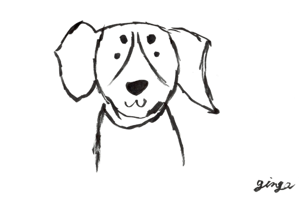 愛犬とのアイコンタクトについて