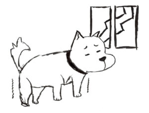 大きな音が苦手